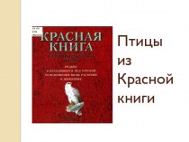 Птицы из Красной книги