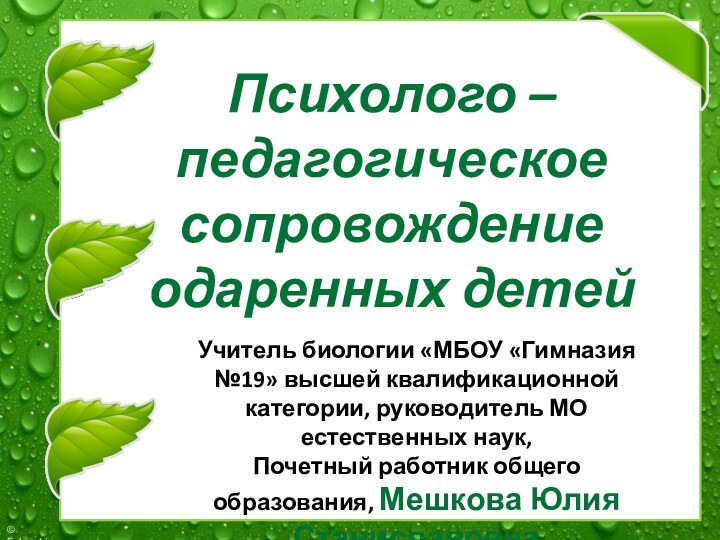 Психолого педагогическое сопровождение одаренных детей проект