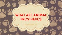 What are animal prosthetics