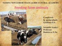 Feeding farm animals