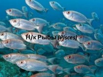 Н/к Рыбы (Pisces)