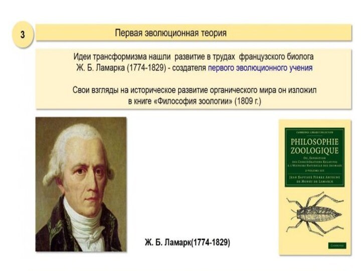 Развитие эволюционных представлений биология. Развитие эволюционных представлений. Возникновение и развитие эволюционных представлений. Происхождение видов развитие эволюционных представлений. Развитие эволюционных представлений таблица.