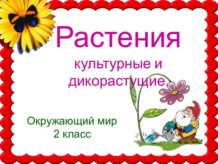 Дикорастущие растения 2 класс тест