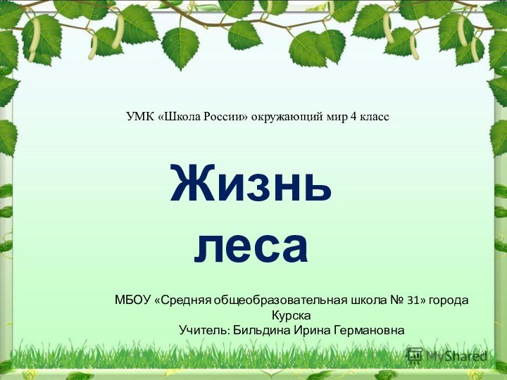 Презентация к уроку окружающего мира 4 класс жизнь леса