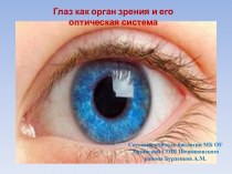 Презентация к уроку по биологии 8 класс по теме Глаз как орган зрения и оптическая система  Урок по биологии в 8 классе Глаз как орган зрения и оптическая система