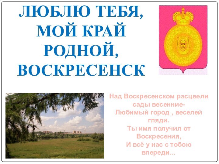 Люблю тебя, мой край родной, Воскресенск!