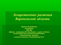 Презентация к проекту Лекарственные растения Воронежской области