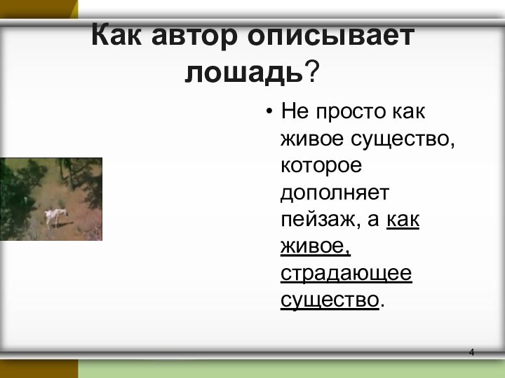 План по рассказу о чем плачут лошади 7 класс по литературе