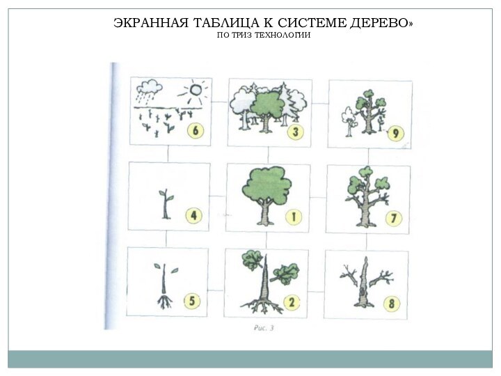 Системный оператор триз в детском саду пример картинки