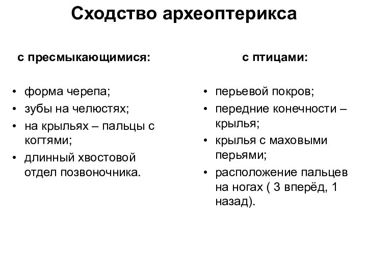 Чем птицы отличаются от пресмыкающихся. Сходства и различия птиц и пресмыкающихся. Черты сходства птиц с рептилиями. Сходство птиц с пресмыкающимися. Общие черты птиц и пресмыкающихся.