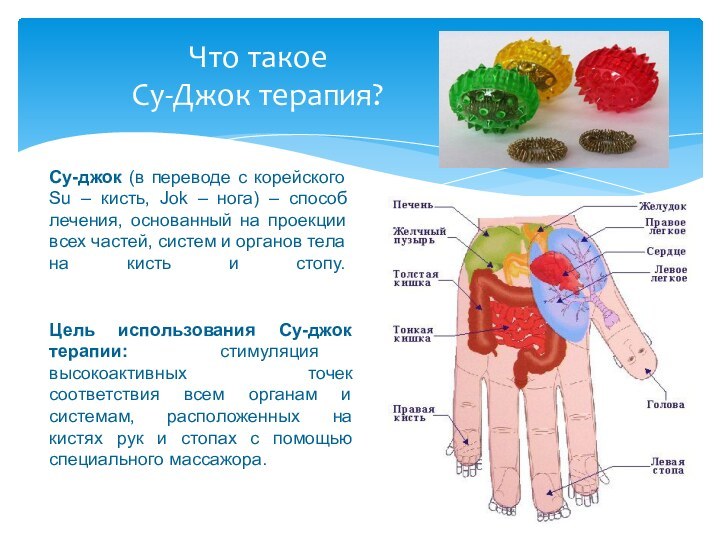 Суджок терапия точки