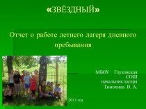 Отчёт о работе летнего лагеря в школе