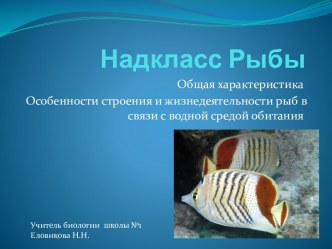 Презентация по теме Внешнее строение рыб