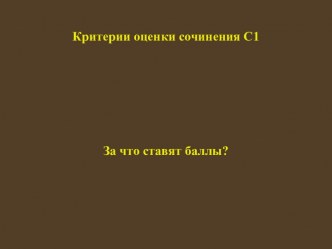 Критерии оценки сочинения части С ЕГЭ по русскому языку